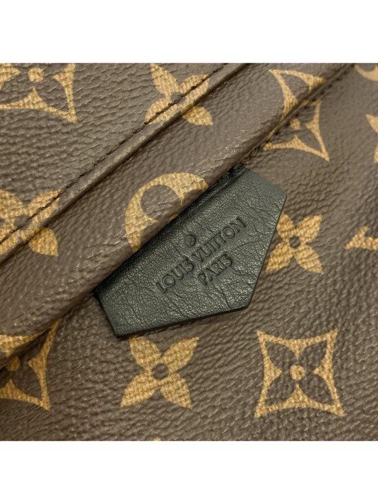 Louis Vuitton Monogram Palm Springs Backpack PM main image 5